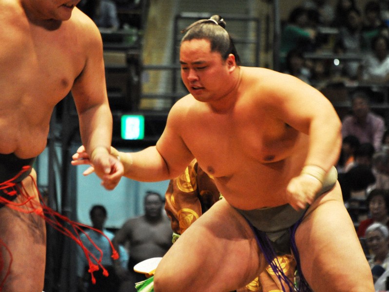 大相撲 元横綱•朝青龍 反物 ② すばやい 