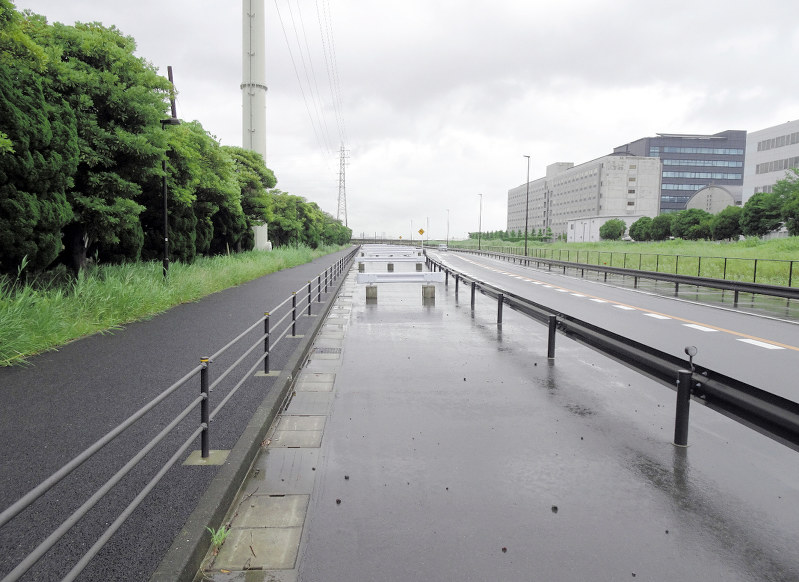 第二湾岸道路の建設予定地だった浦安市入船の県有地。突き当たりは海で、埋め立てられる予定だった三番瀬が広がる