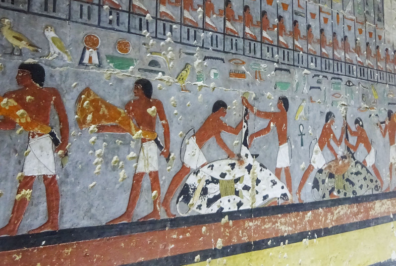 乾杯！世界のどこかで：紀元前から続く陽気な夜 エジプト、ビール