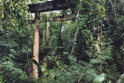 《泉神社》アメリカ・自治領北マリアナ諸島・サイパン島、2015