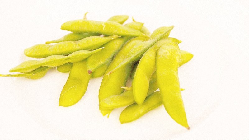 大館市の朝採れ枝豆=筆者撮影