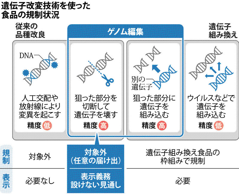 毎日新聞