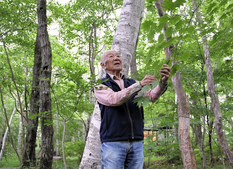 八ケ岳倶楽部の雑木林を散策する柳生さん=山梨県北杜市で