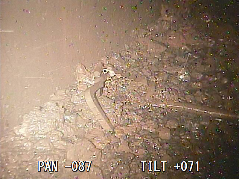 2号機の格納容器底部に落下した燃料デブリと思われる堆積(たいせき)物=国際廃炉研究開発機構提供