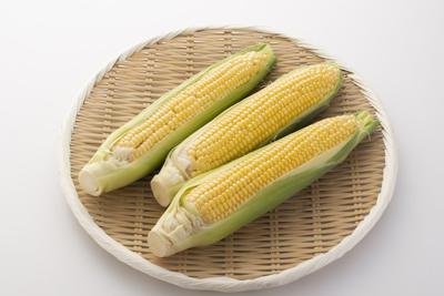 トランプ氏に約束 トウモロコシ輸入 は本当に必要か 毎日新聞