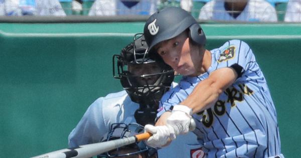 東海大相模グラコン　サイズL 非売品 東海大相模グラコン 【公式通販】