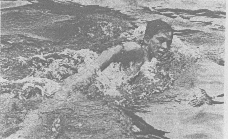 ターザンの影 3 クロール完成 好敵手現る 14年1月22日掲載 毎日新聞