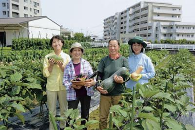 マンションに囲まれた都市部の畑で野菜の少量多品目栽培に取り組む智代さん（右から２人目）、律子さん（同３人目）ら高木さんの家族＝福岡市西区で