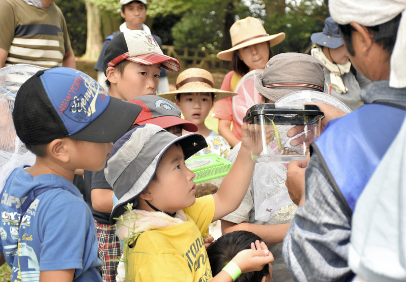 講師に捕まえた虫の入った虫かごを手渡し説明を受ける子供たち=水戸市の千波公園で