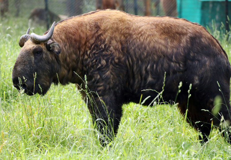 ブータン国王と面会 旅行中の秋篠宮ご夫妻ら 毎日新聞