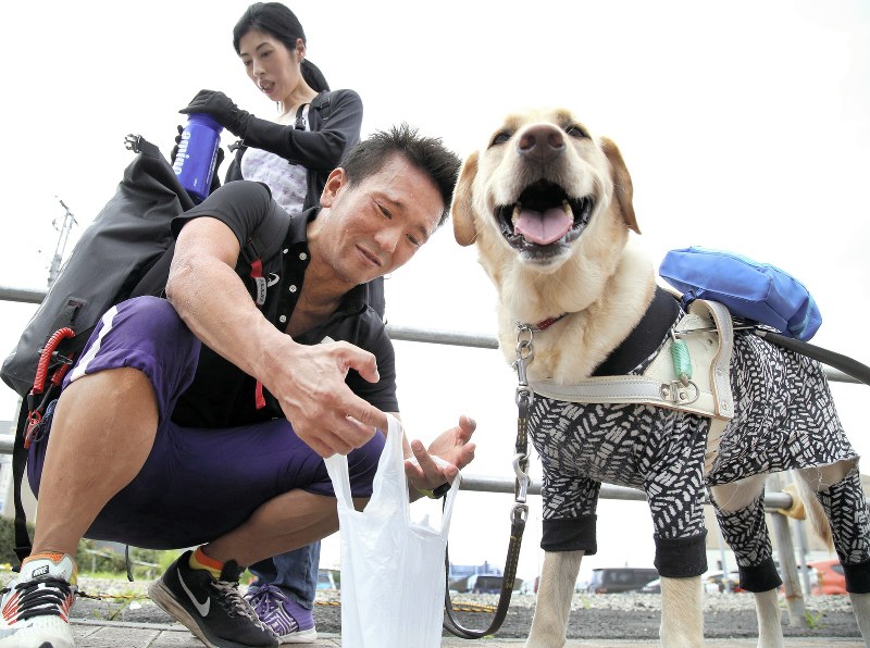 練習場所の西東京スポーツセンターに向かう中沢隆(左)。気温30度の暑さの中、盲導犬のデネブがうれしそうに水を飲んだ=東京都西東京市で、丸山博撮影