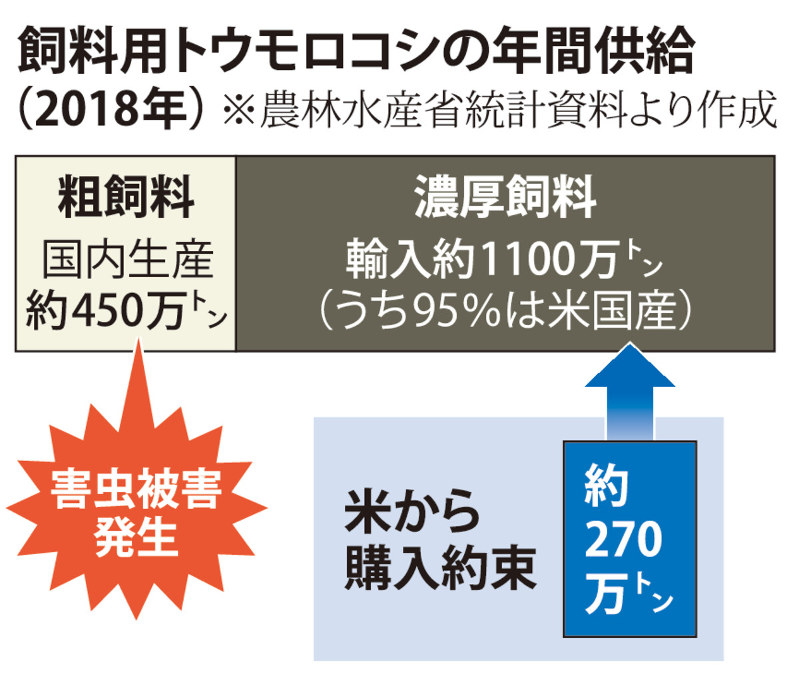 飼料用トウモロコシの年間供給
