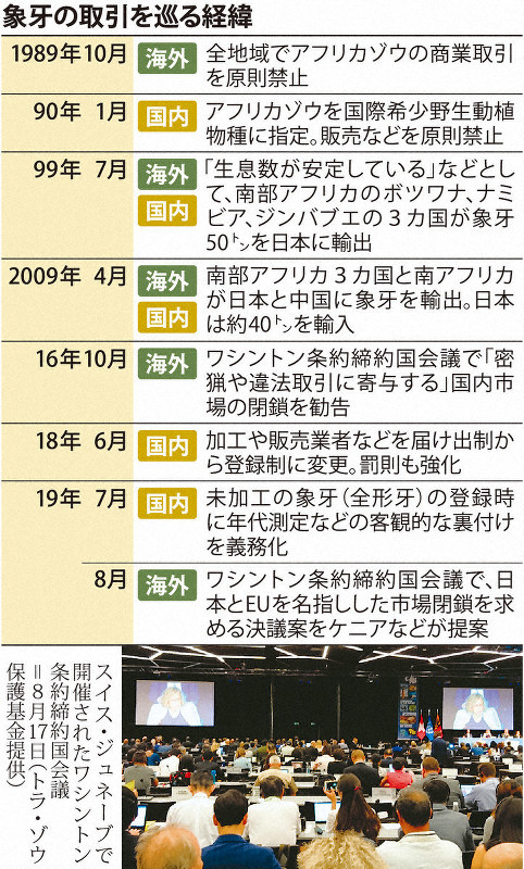象牙の取引を巡る経緯