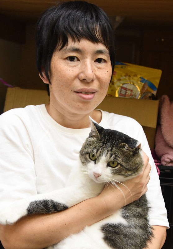 絵本に登場する猫のモデル「しげる」を抱く作者の周藤優子さん=島根県出雲市東福町で2019年7月10日午後3時29分、目野創撮影