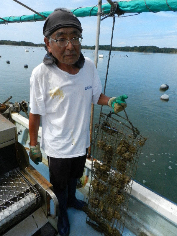 真珠養殖の母貝のアコヤガイを入れた網を手にする原条誠也さん。半数が死んでいる=三重県志摩市の英虞湾で2019年8月31日午前9時59分、林一茂撮影