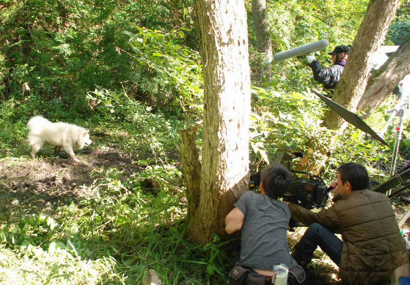 ロケ地物語 ロケ地物語 東北から生まれた映画たち わさお 青森 鰺ケ沢 ブサかわ犬 異例の主演 宮城 毎日新聞 ロケ地物語 ロケ地物語 東北から生まれた映画たち わさお 青森 鰺ケ沢 ブサかわ犬 異例の主演 宮城 毎日新聞
