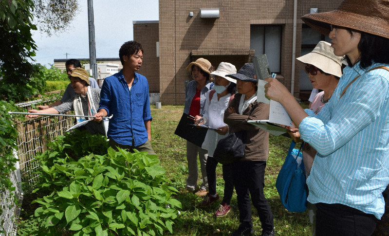 ハーブ王子 の野草観察会 野草研究家の山下さん おいしく楽しく紹介 上毛町 福岡 毎日新聞