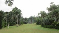 シンガポール植物園。奥に見えるのは水上ステージ（写真は筆者撮影）