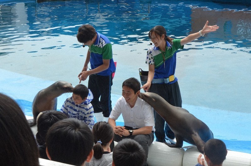 海の人気者がお出迎え アシカやヨシキリザメ ゴマフシビレエイ 仙台うみの杜水族館 宮城 毎日新聞