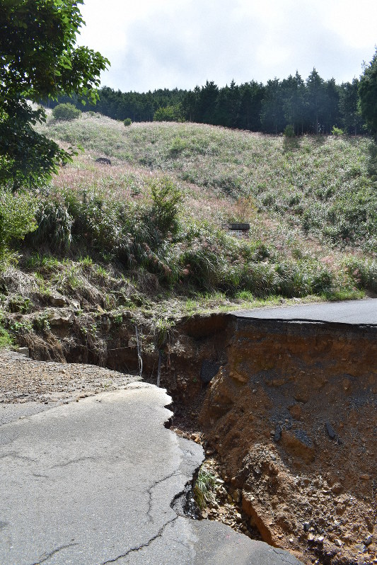 数回植林しても木が生えない「呪われた皆伐地」(奥)。昨夏の西日本豪雨では一部が崩れ、アスファルトの村道(手前)も崩壊した=岡山県西粟倉村で2018年9月、寺田剛撮影