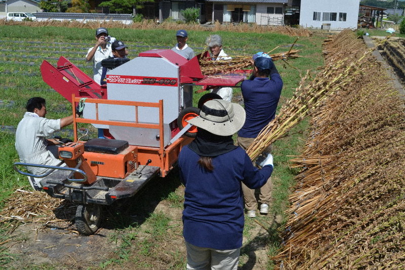 刈り取られたゴマを脱粒機にかける農機メーカーの担当者と生産者たち=和歌山県橋本市恋野で、松野和生撮影