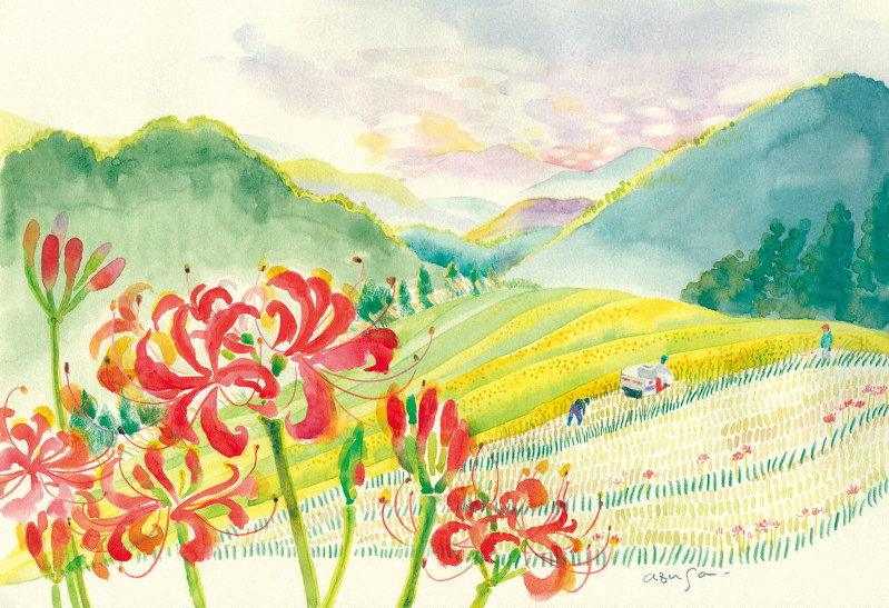 カントリースケッチ ２４ 田んぼが作る美しい風景 スケノアズサ 和歌山 毎日新聞