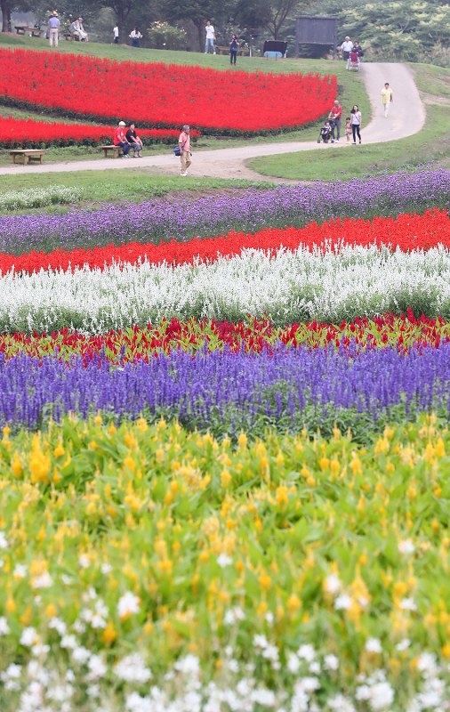 花畑のパレット 宮城 写真特集2 4 毎日新聞