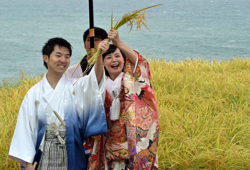 棚田 白米千枚田 で結婚式 実った稲穂を2人で刈り取り 輪島 毎日新聞 棚田 白米千枚田 で結婚式 実った稲穂を2人で刈り取り 輪島 毎日新聞