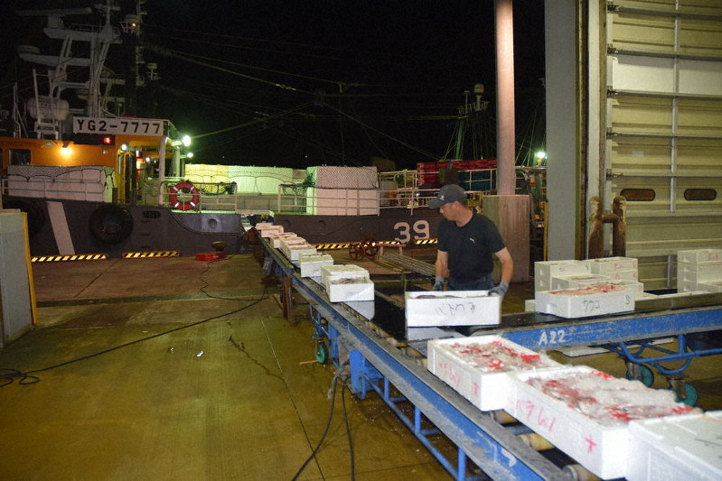 下関漁業の沖合底引き網漁船から水揚げされる魚=袴田貴行撮影
