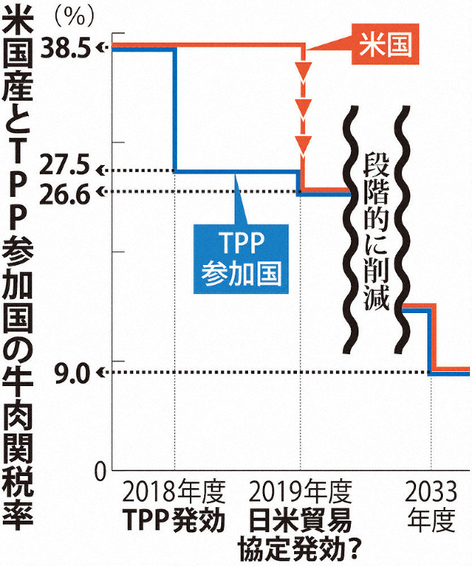 米国産とTPP参加国の牛肉関税率