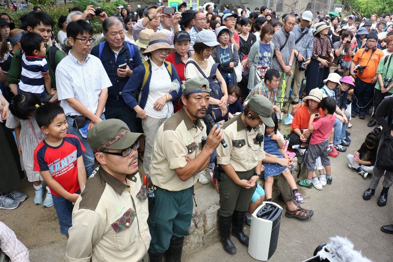 最後のコアラ英国へ 繁殖で貸し出し 大阪 天王寺動物園お別れ会開く 毎日新聞