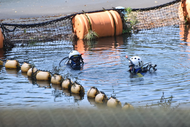 道志ダムを捜索する山梨県警機動隊のダイバー=相模原市で2019年10月1日午前10時3分、金子昇太撮影