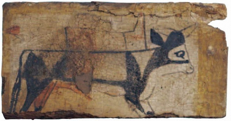 聖牛アピスが描かれた櫃の断片(末期王朝時代 紀元前664~前332年)=天理参考館所蔵