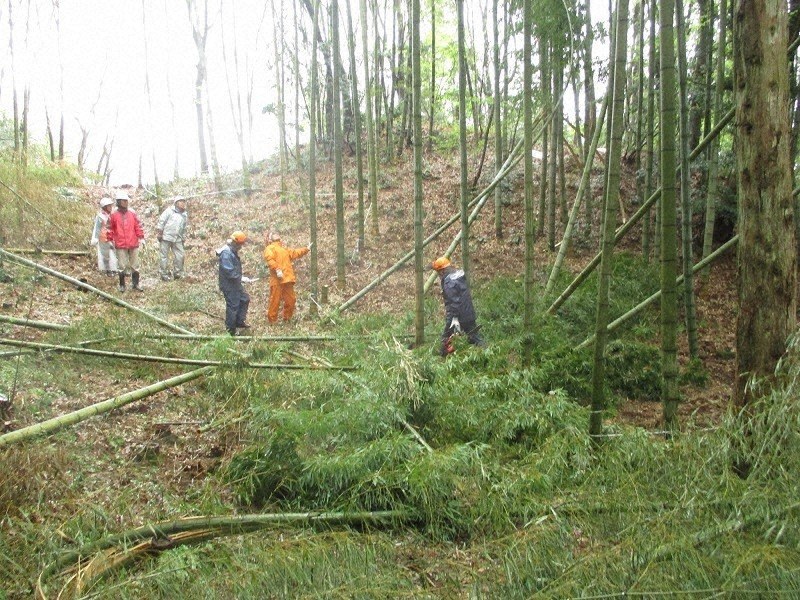 里山に急増した竹を刈る射水市ビオトープ協会のメンバーたち=栃木県佐野市提供