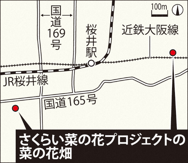 見聞録 さくらい菜の花プロジェクト 桜井市 油や肥料 せっけんに 健闘１０年 若者へｐｒを 奈良 毎日新聞