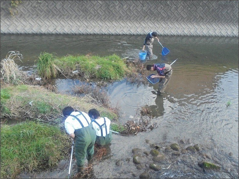 田中正造記念賞 岐山高生物部に奨励賞 カワニナ放流の影響など研究 岐阜 毎日新聞