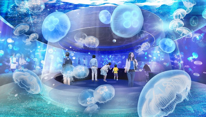 漂うクラゲを360度鑑賞できる京都水族館・ドーム型水槽のイメージ図=オリックス不動産提供