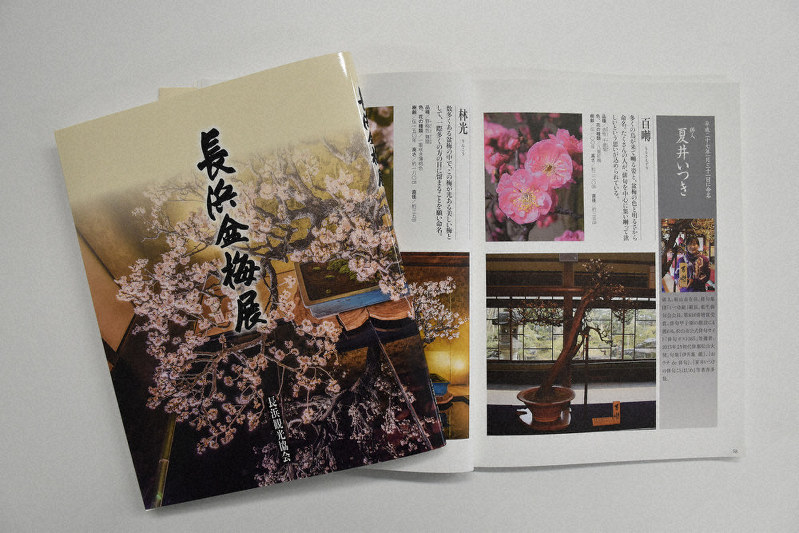 長浜盆梅展の公式ガイドブック改訂版=滋賀県長浜市八幡東町で、若本和夫撮影