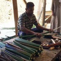 長さ4メートルにも及ぶパピルス草の茎を70センチほどに切る男性＝2019年9月12日、エジプト北部カラモウスで篠田航一撮影