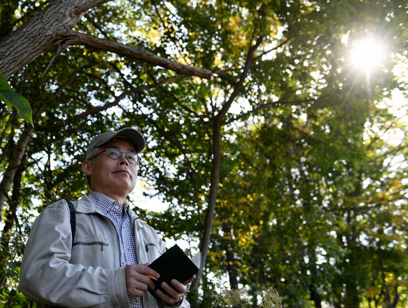 ヒグマが出没した周辺の森林で調査する間野勉さん=札幌市南区で、竹内幹撮影