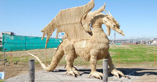 わらアート 巨大ドラゴン登場 高さ3メートル 長さ５メール 毎日新聞