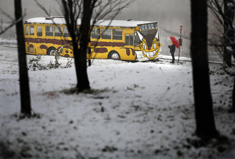 ねこバス」が招く夜景の峠 北海道・深川 | 毎日新聞
