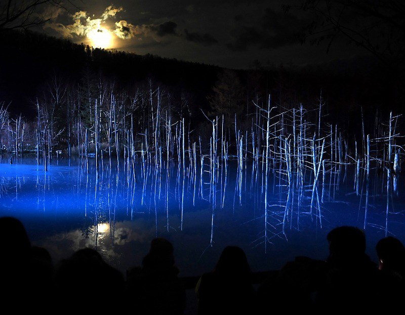 月夜に浮かぶ「青い池」 幻想的な光景に感嘆 北海道・美瑛 [写真特集1