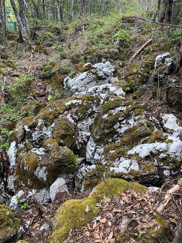 白骨温泉の重小屋原地区に残されている噴湯丘=長野県松本市教育委員会提供