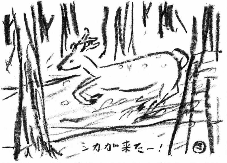 作画=マメイケダ