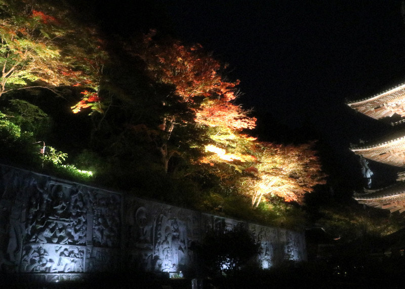 紅葉 初日はしっとり 高取 壺阪寺境内ライトアップ 奈良 毎日新聞