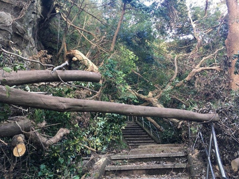 羅漢石造群では倒木で登山道がふさがれた=鋸南町で、県提供