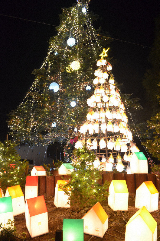 クリスマス前にモミの木を点灯 伊賀 モクモク 三重 毎日新聞