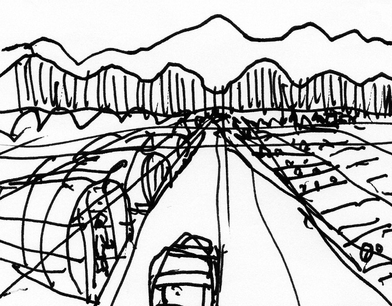 スミレの香り １６１ 馳星周 画 田中靖夫 毎日新聞