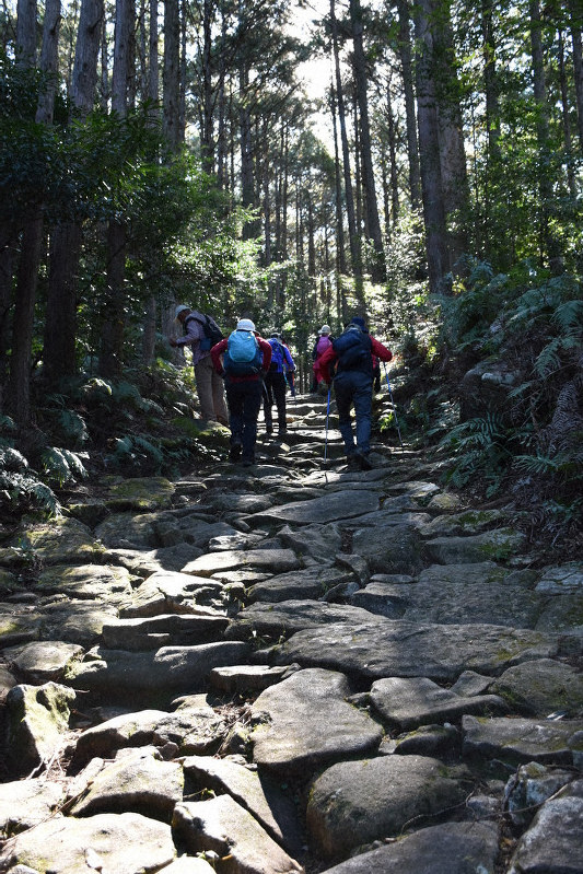 熊野古道継承 細る担い手 世界遺産登録１５年 外国人客増え 追い風も 愛知 毎日新聞